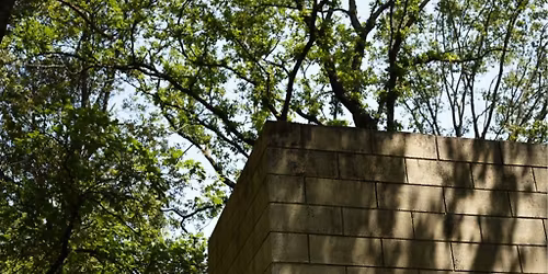 Visita Collezione Arte Ambientale e Giardini Storici