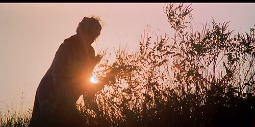 SUNDAY SCARIES: The House with Laughing Windows (New Restoration)