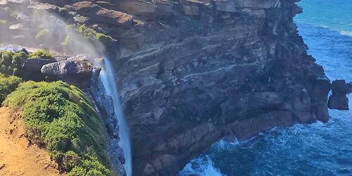 Wild Women Watch Whales at Wattamolla