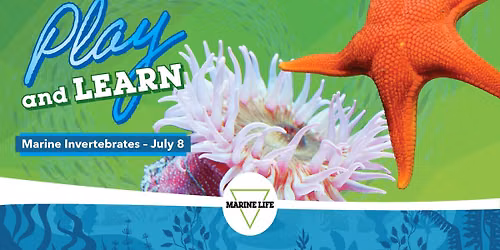 Play & Learn Featuring: Marine Invertebrates