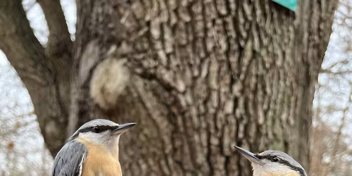 Akcja Karmnik 2025\/2026 - Od\u0142\u00f3w I