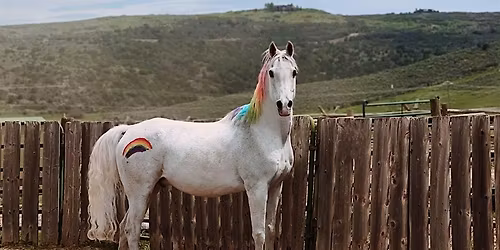 Rainbow Herd: An Equine Intensive for the LGBTQIA+ community