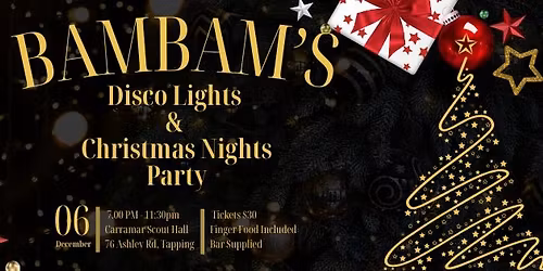 BAMBAM's Disco Lights & Christmas Nights