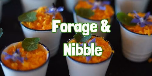 FORAGE & NIBBLE in Brighton (East Sussex)
