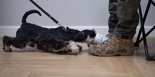 Detekcja K9 w praktyce - warsztaty z \u0141ukaszem Majkutem