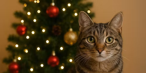 Spotkanie \u015awi\u0105teczne \ud83c\udf84\ud83c\udf84