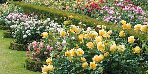 Garden Chats in the Park