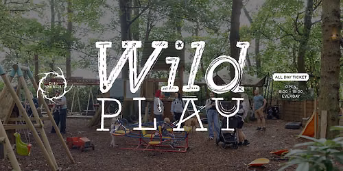 Wild Play @ Into The Wild