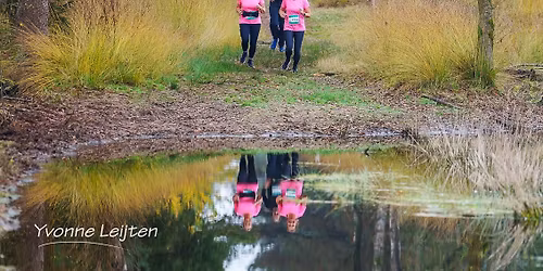 Trailrun Someren 2025