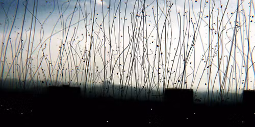 Lights 20th Anniversary