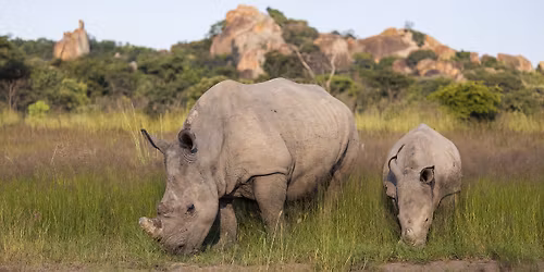Ud i naturen med Vild Vinkel. Med naturfotograferne Mads Hagen & Ole Ekelund & Safarirejser. 