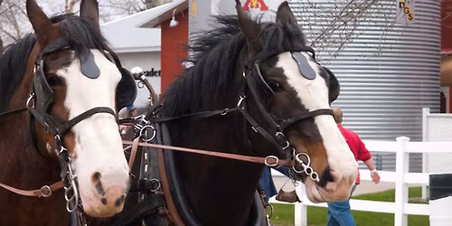 2026 Minnesota Horse Expo Official Event