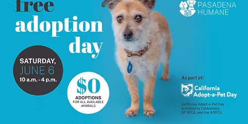 Free Adoption Day