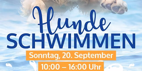 Hundeschwimmen im Panoramabad