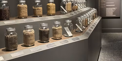 Choose Your Own Adventure: Multisensory Approaches to Inclusive Exhibit Design