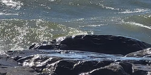 Yhteisretki Reposaaren rantapoluille