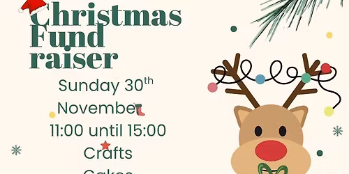 Christmas stray fundraiser