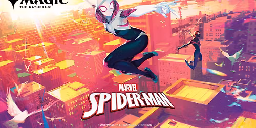 Spider-man: The Final Battle (Standard)