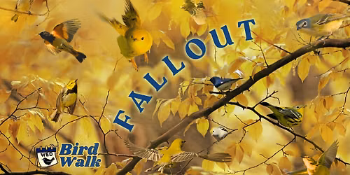 Wed. Bird Walk: Fallout