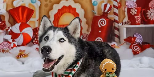 Ugly Sweater Christmas Party