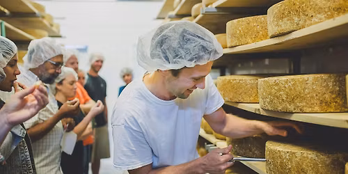 Gunn's Hill Cheese Plant Tour and Tasting