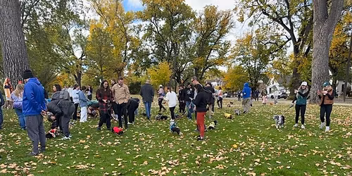 Wash Park Weenies Meetup and Walk