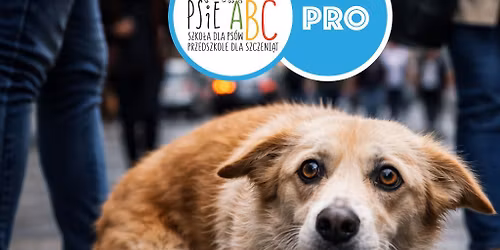 Warsztaty: Praca z psem l\u0119kowym z Psie ABC