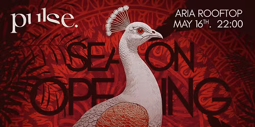 MAY 16 | pulse. Sibiu Season Opening