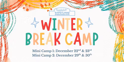 Winter Break Camp
