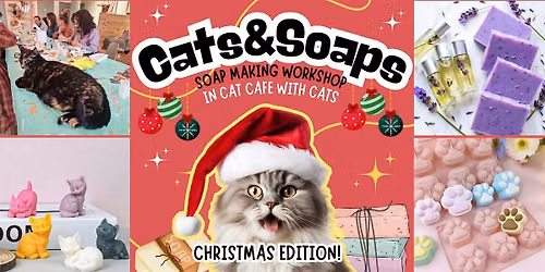 Cats&Soaps - Soap Making Workshop with Cats in cat cafe - Christmas