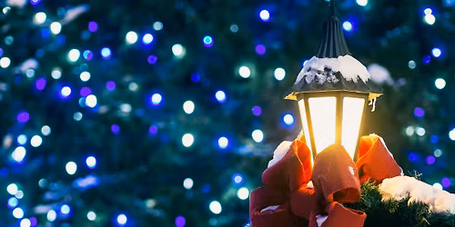 PDA Singles Christmas Light Stroll