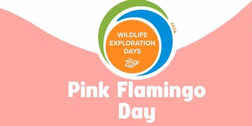 Wildlife Exploration Day l Pink Flamingo Day