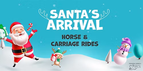 Holiday Horse & Carriage Rides at Loehmann's Plaza