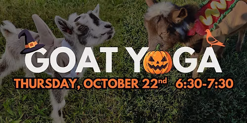 Goat Yoga: Halloween Edition!