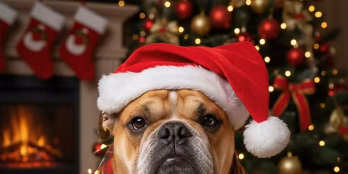 Christmas Growl