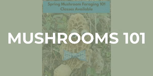 Mushroom Foraging 101 