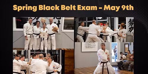 Black Belt & High Brown Exam