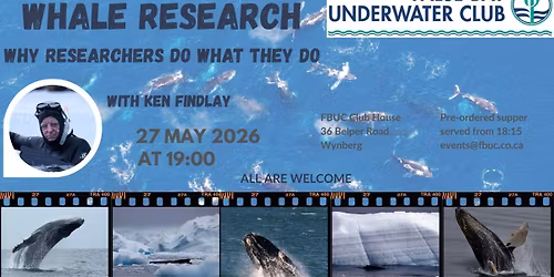Whale Research