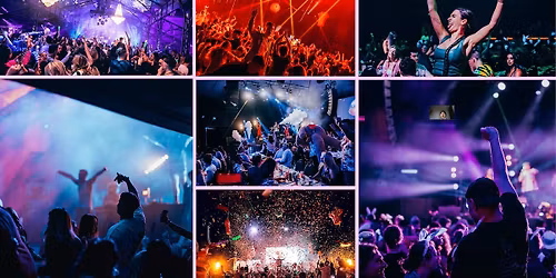 Bingo Loco Palmview - The Banana Bender Pub, Friday 22nd May