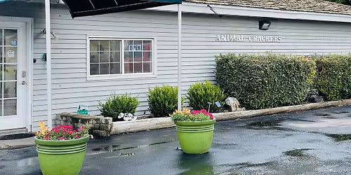 The Barking Lot Vendor Sale