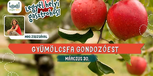 Gy\u00fcm\u00f6lcsfa gondoz\u00f3est