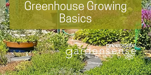 Greenhouse Growing Basics