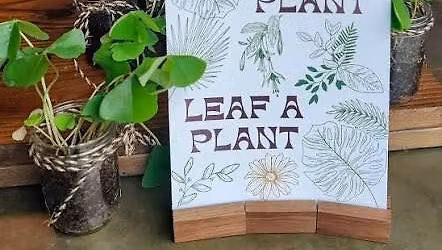 Let\u2019s plant together \ud83e\udeb4\ud83c\udf31