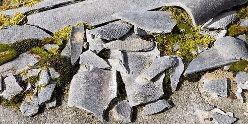 Asbestos Awareness Workshop