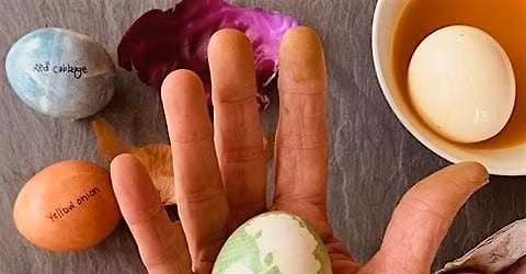 Artful Egg Design: A Seasonal Workshop