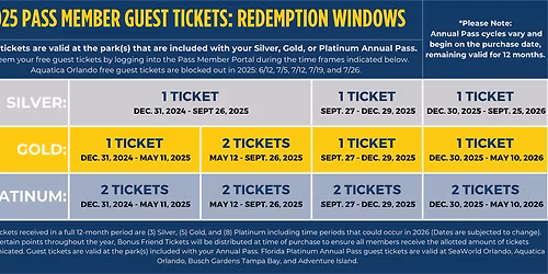 Parking Disco Lines (19+)