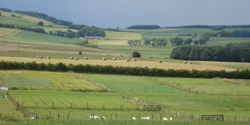 Crop Systems Research Updates and Trial Site Visits 2026
