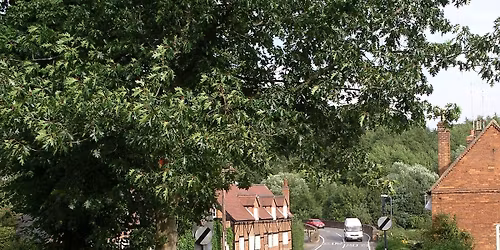 Stoneleigh: A Surprising Connection