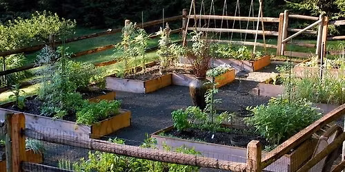 Workshop: Drafting Your Garden Space