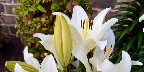 Easter Hike \u2014 Norfolk Botanical Gardens \ud83d\udc23\ud83c\udf38\ud83c\udf37